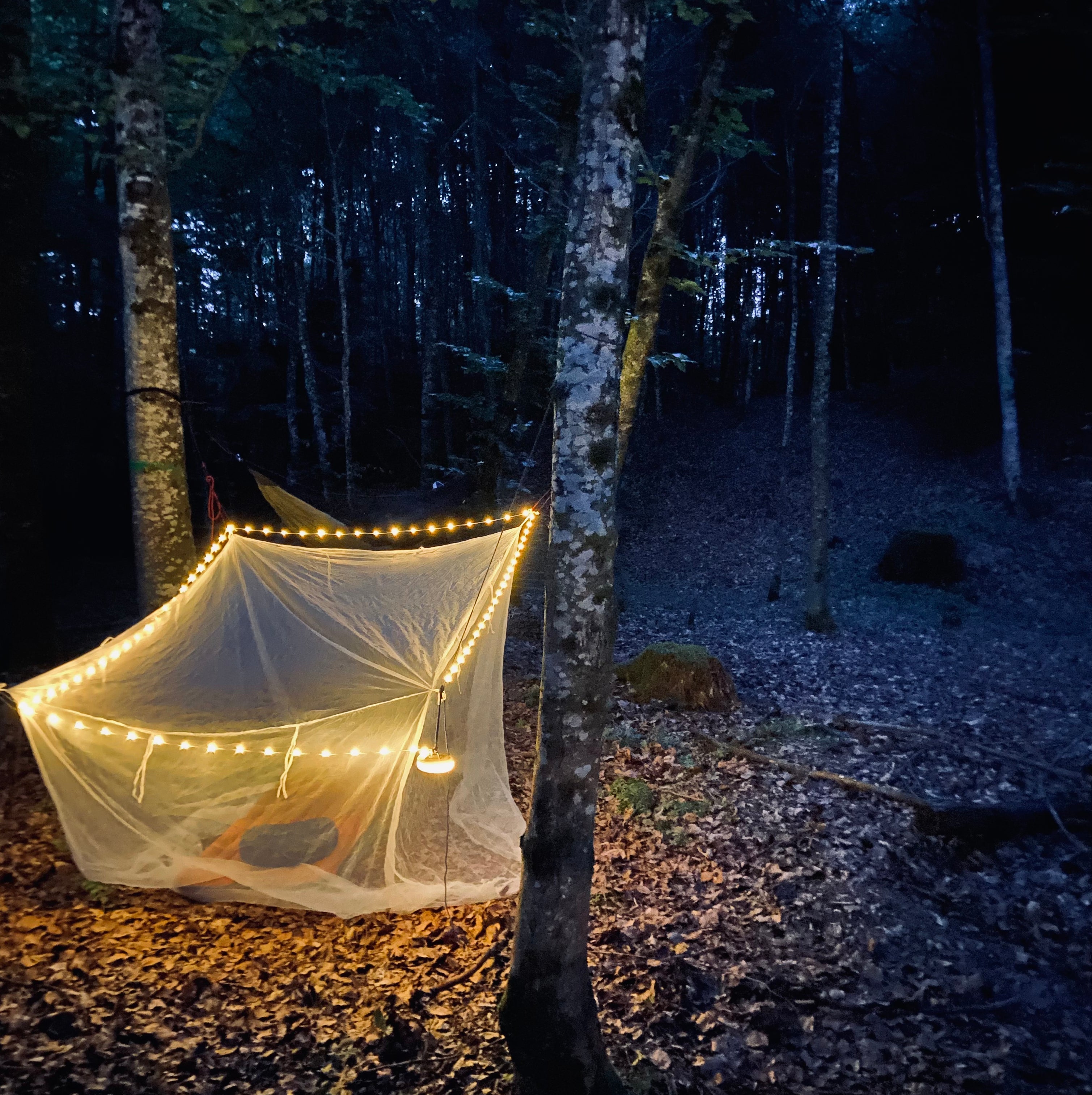 Fjord Lamp™ Original