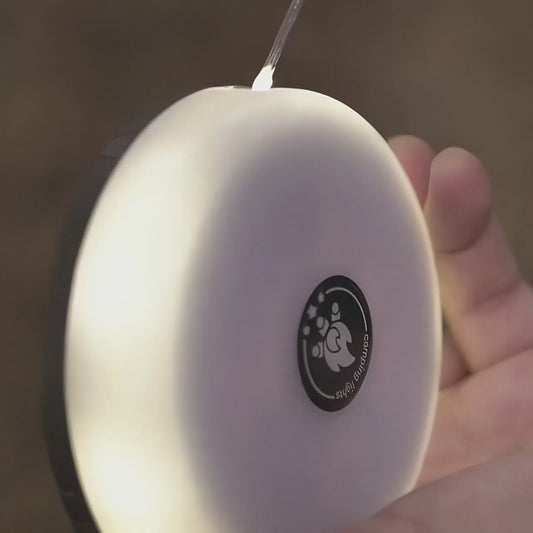 Fjord Lamp