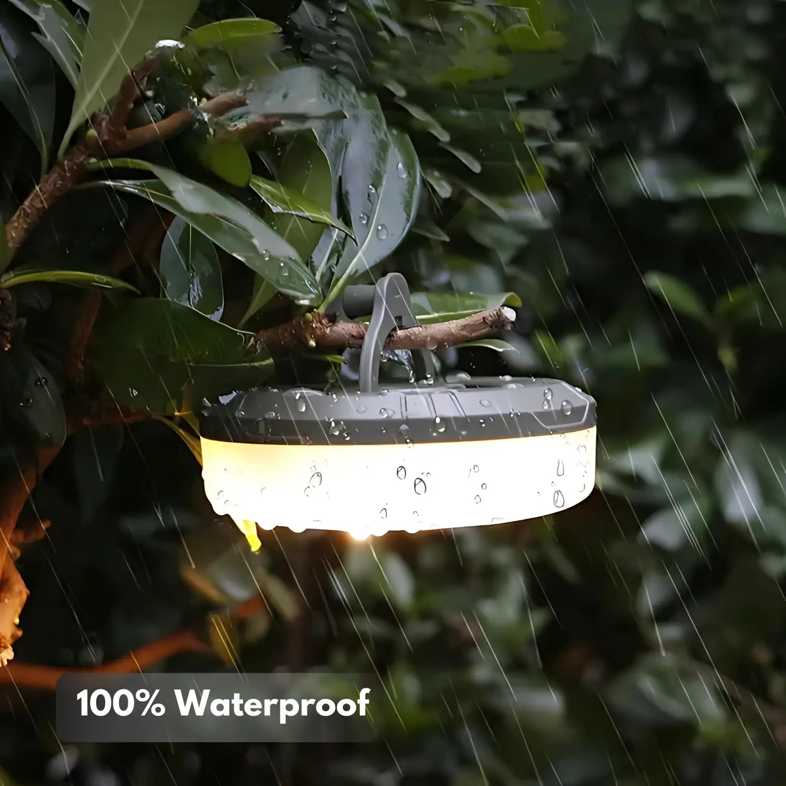 Fjord Lamp